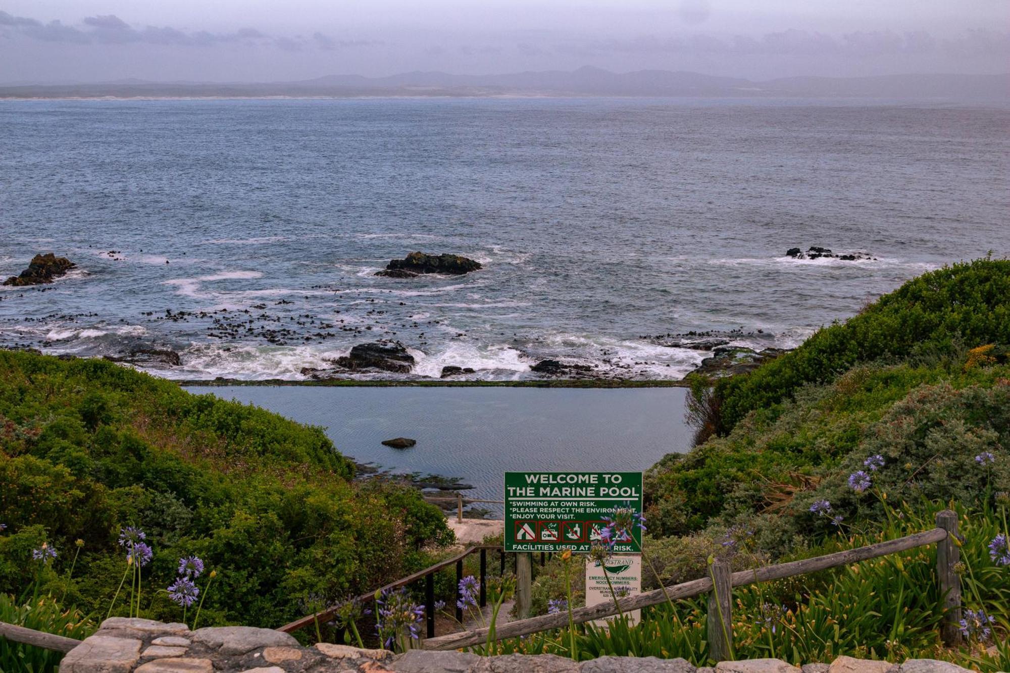 Protea & Pincushion Cottages Hermanus Exterior photo